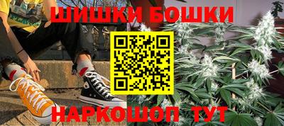 индика Кинель