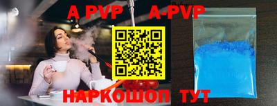 СК Кингисепп