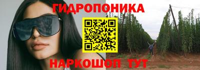индика Кинель