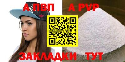 СК Кингисепп