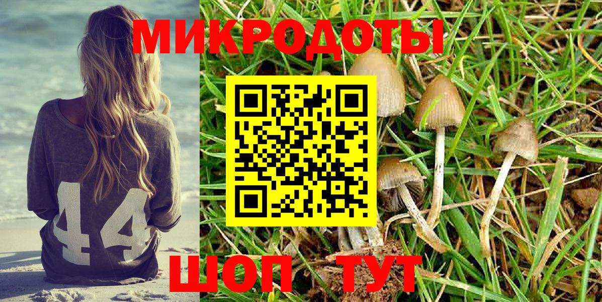 Псилоцибиновые грибы мицелий Тверь