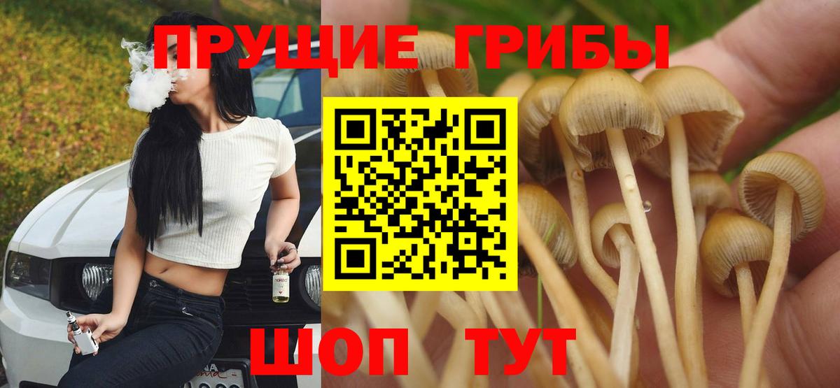 Псилоцибиновые грибы Psilocybine cubensis  Вход с VPN  Тверь 