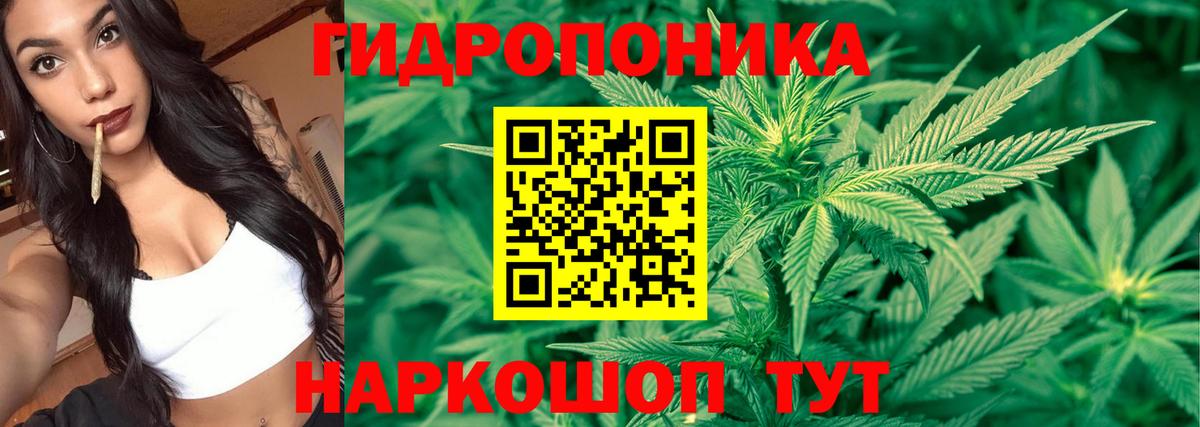 Марихуана SATIVA & INDICA Тверь